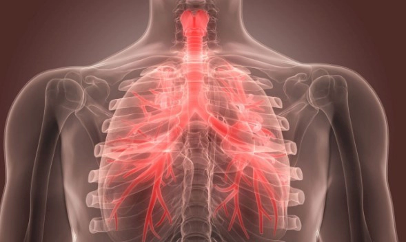 기관지염 증상 9가지