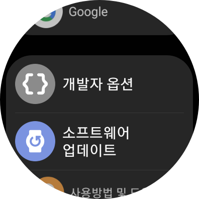 워치4 개발자 옵션