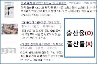 율 률 맞춤법 완벽정리 합격률 합격율_3