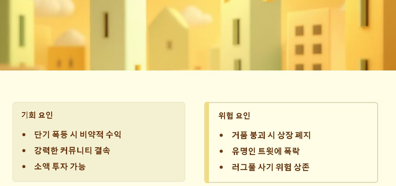 밈코인 이란 ?