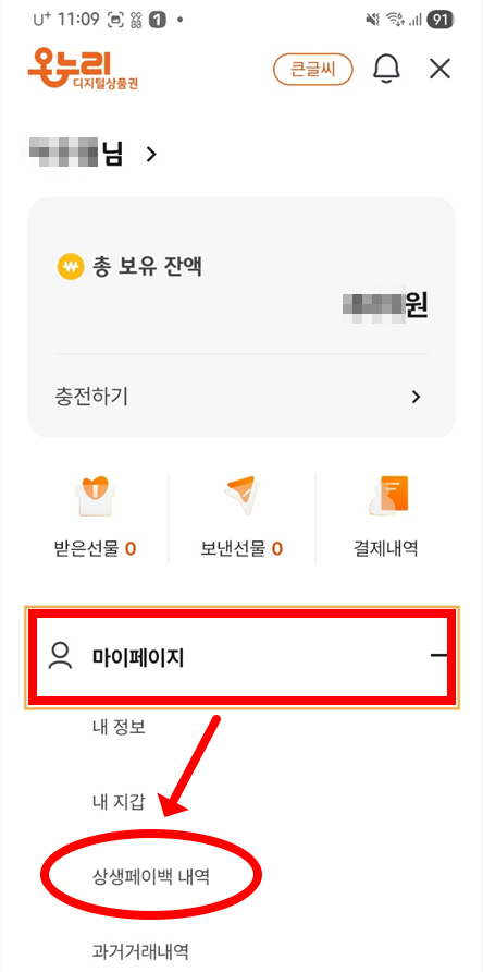상생페이백 지급 내역 확인 경로