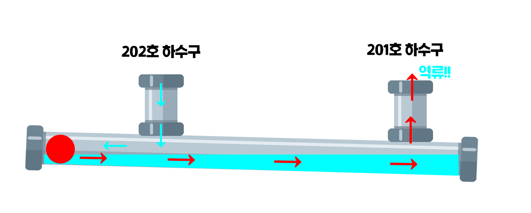 202호 하수구보다 201호 하수구가 더 낮아서 201호로 하수구가 역류한다