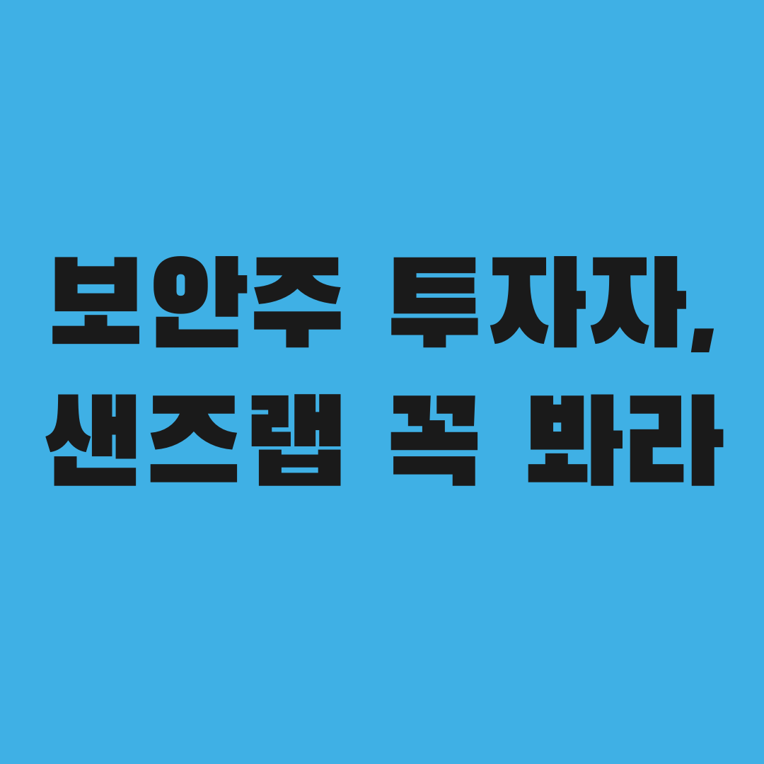 보안주 투자자라면 꼭 봐야 할 샌즈랩 상한가 사연