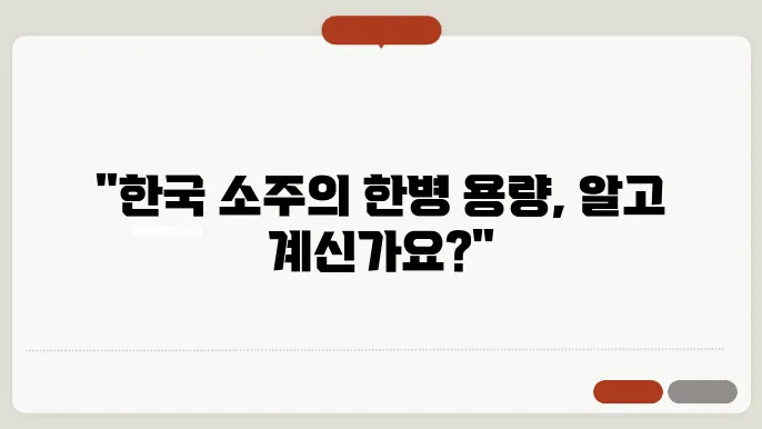 소주 한병 ml