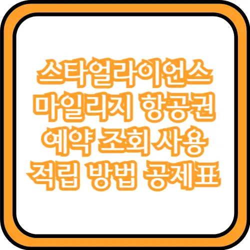 스타얼라이언스 마일리지 항공권 예약