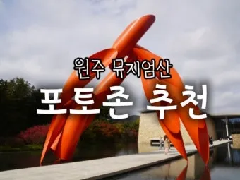 원주 가볼만한곳 베스트10 자연과 도심 명소 총정리_16