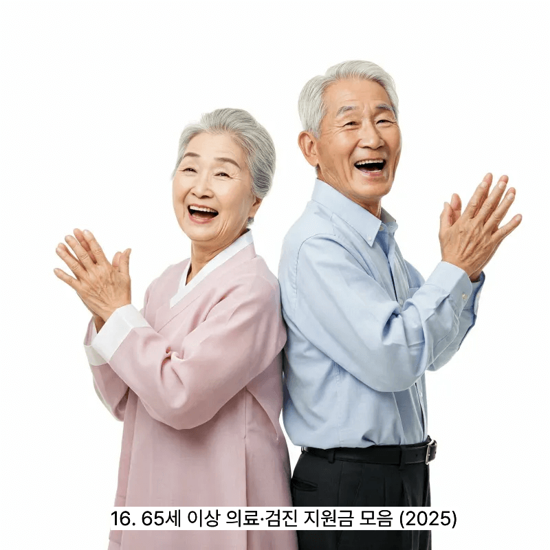16. 65세 이상 의료&middot;검진 지원금 모음 (2025)