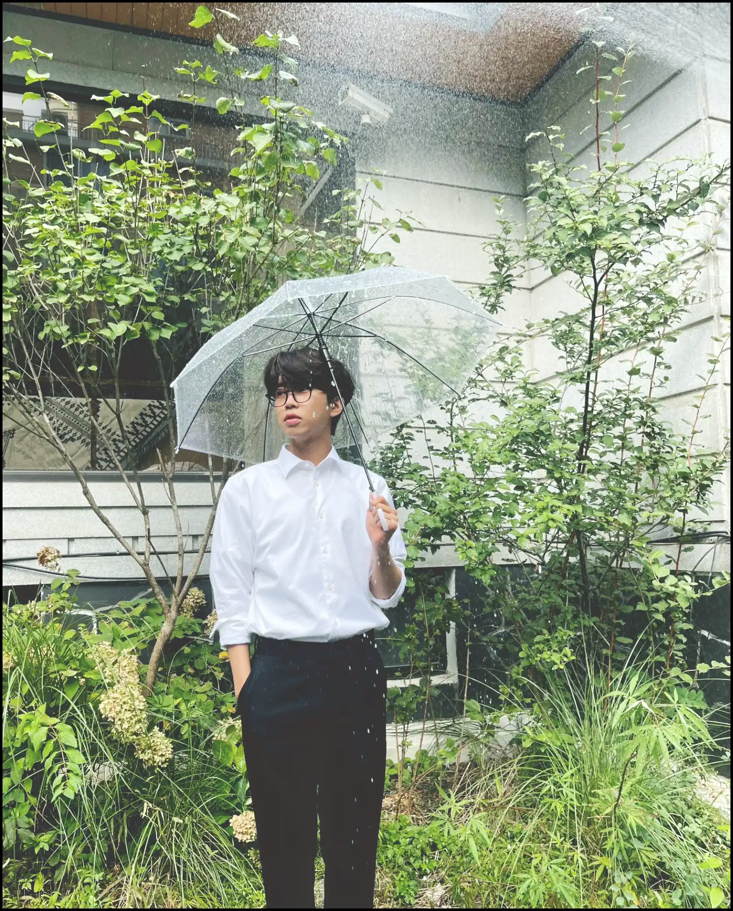 임영웅 콘서트 티켓 예매 일정표 확인 (2024년 연말 리사이틀)