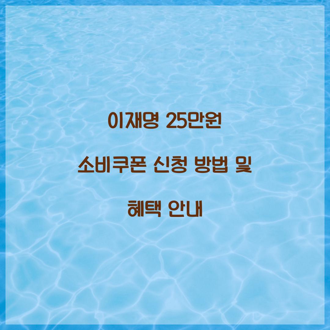 이재명 25만원 소비쿠폰 