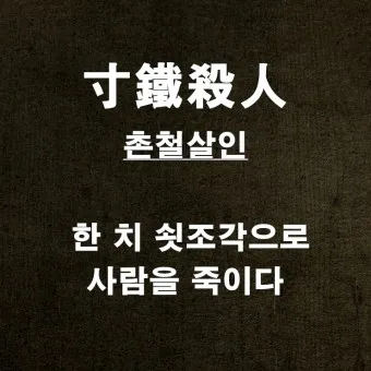 촌철살인 뜻 유래 의미 실생활 예시_5