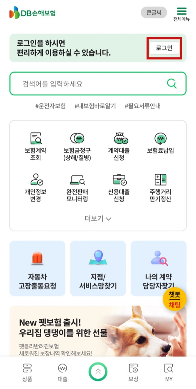 DB손해보험 독감