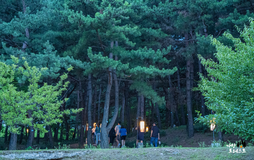 화성행궁 뒷마당 가능길