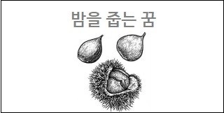 밤을 줍는 꿈