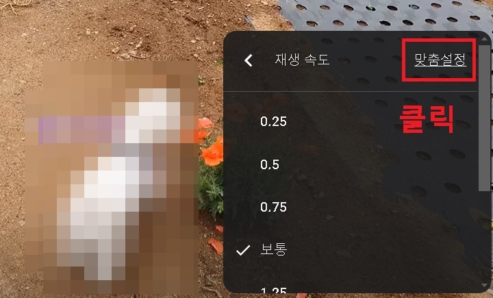 맞춤설정 클릭함