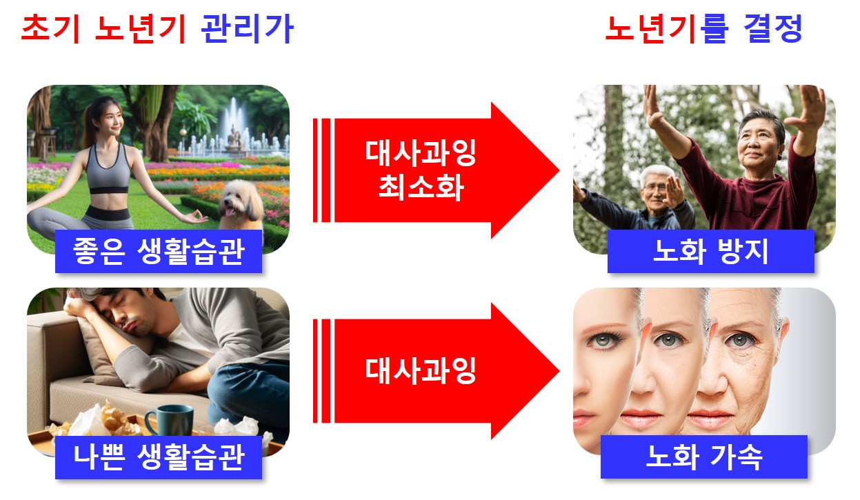 중년기건강관리