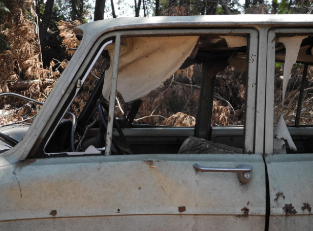 조기폐차 보상금(지원금)