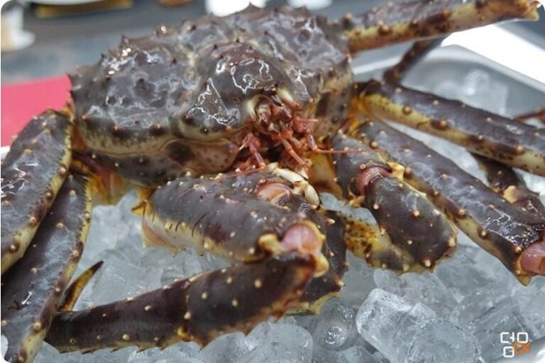 킹크랩 싸게 파는 곳