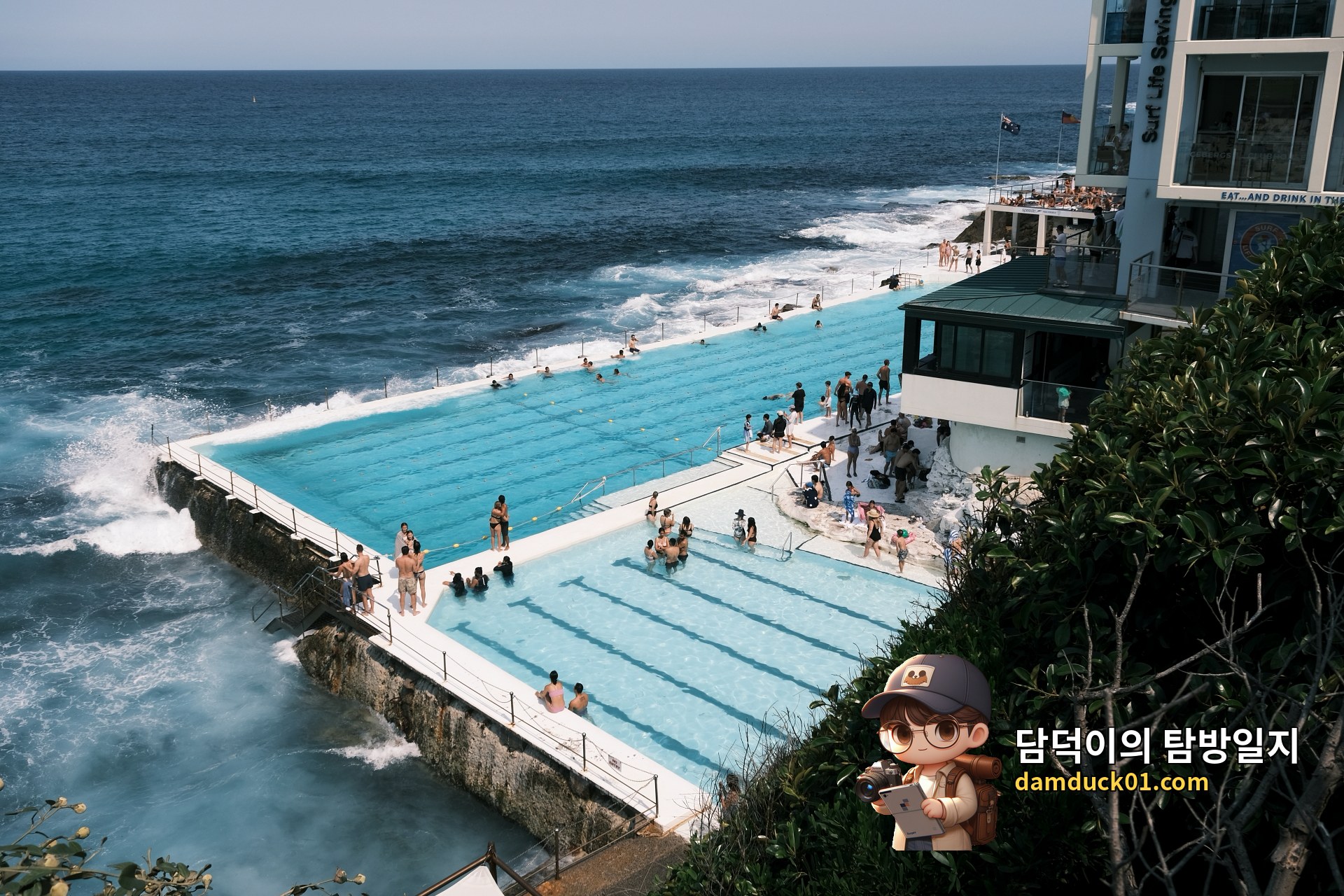 본다이 아이스버그스 스위밍 CLUB