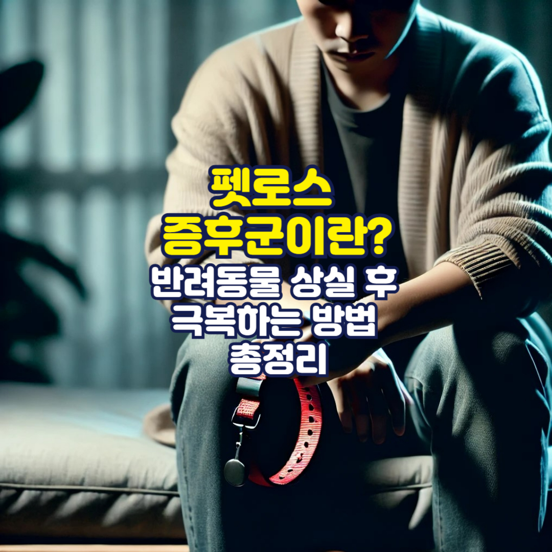 펫로스 증후군이란? 반려동물 상실 후 극복하는 방법 총정리