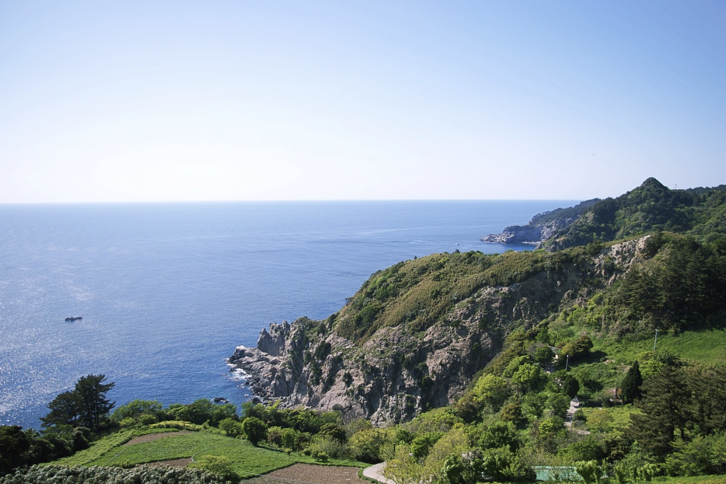 포항 울릉도 배편 시간표