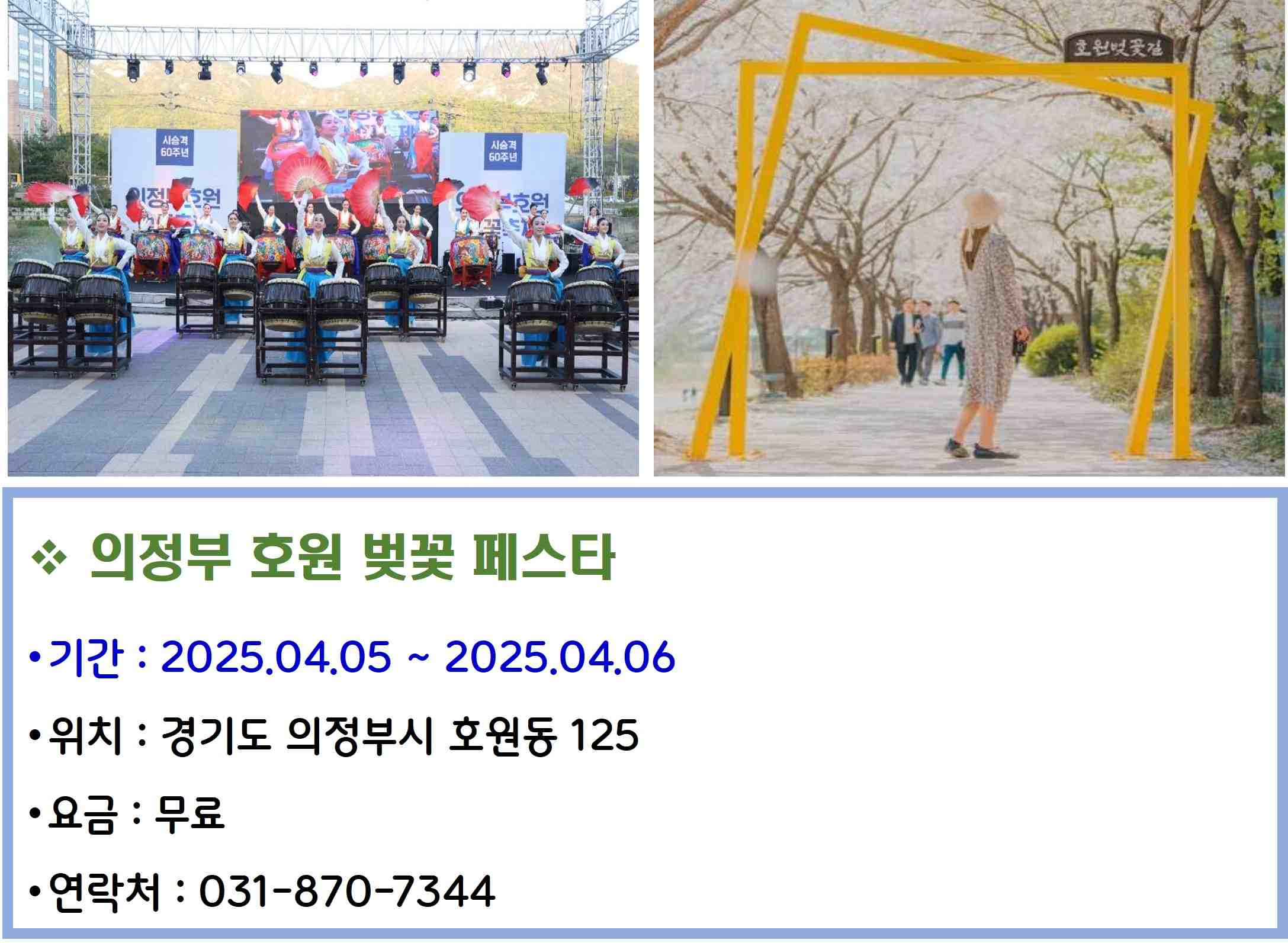 의정부 호원 벚꽃 페스타