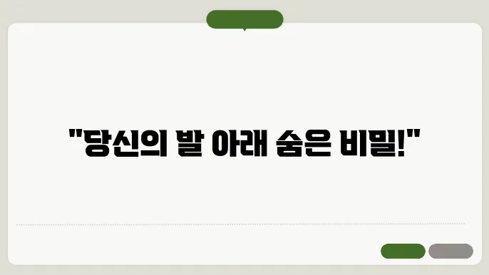 암석의 텍토닉 환경과 구조