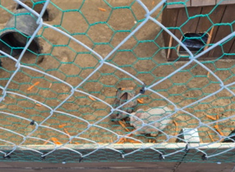 청도 봉식이놀이터