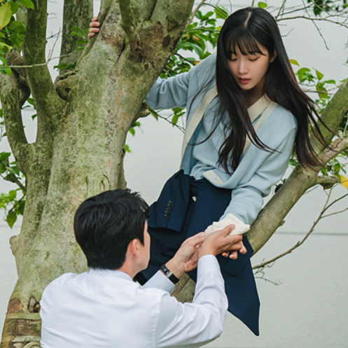 사랑의 이해 원작 결말