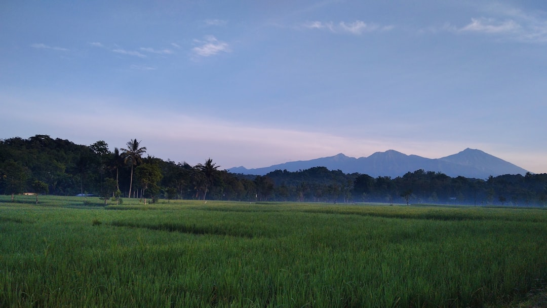 Land.