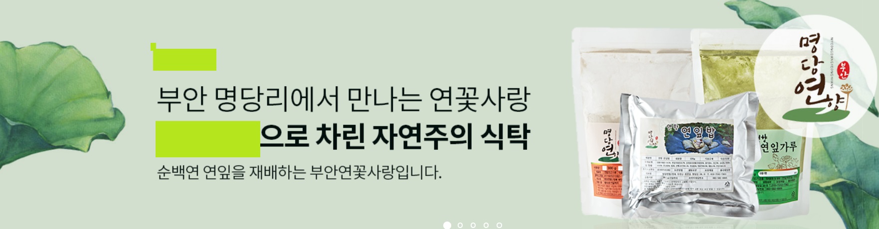한국인의밥상-지금연잎이잘익었을때입니다-부안-연잎