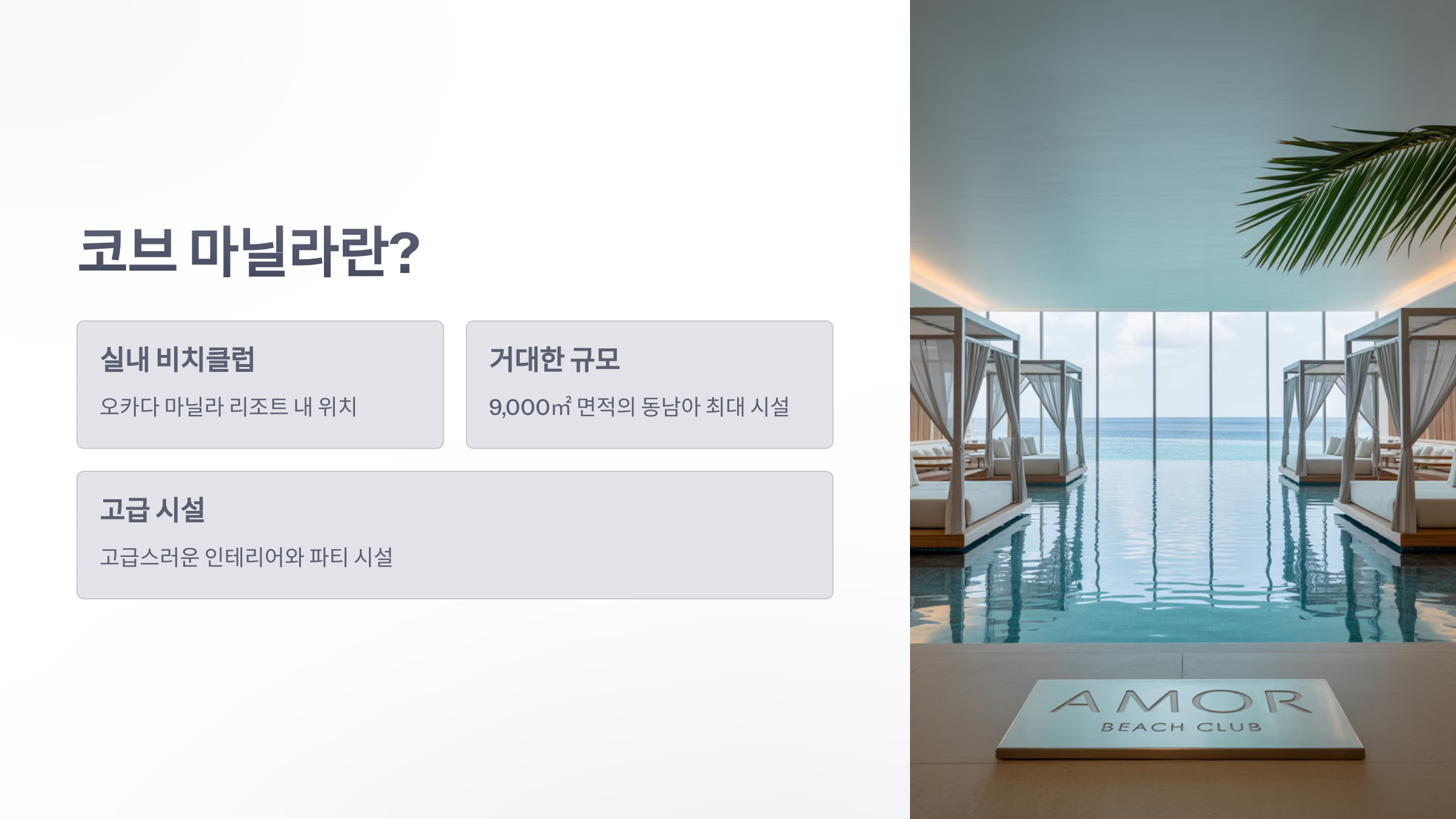 참조-코브-마닐라,-오카다-마닐라-돔-2