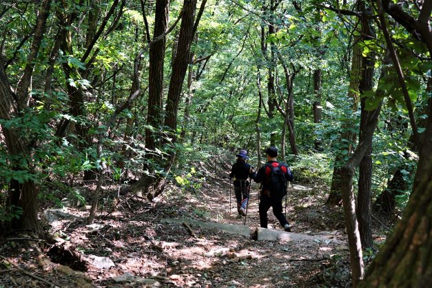 우거진 숲속길을 걸어가는 남여 1쌍, 뒷모습, 빨간배낭, 양손에 스틱,