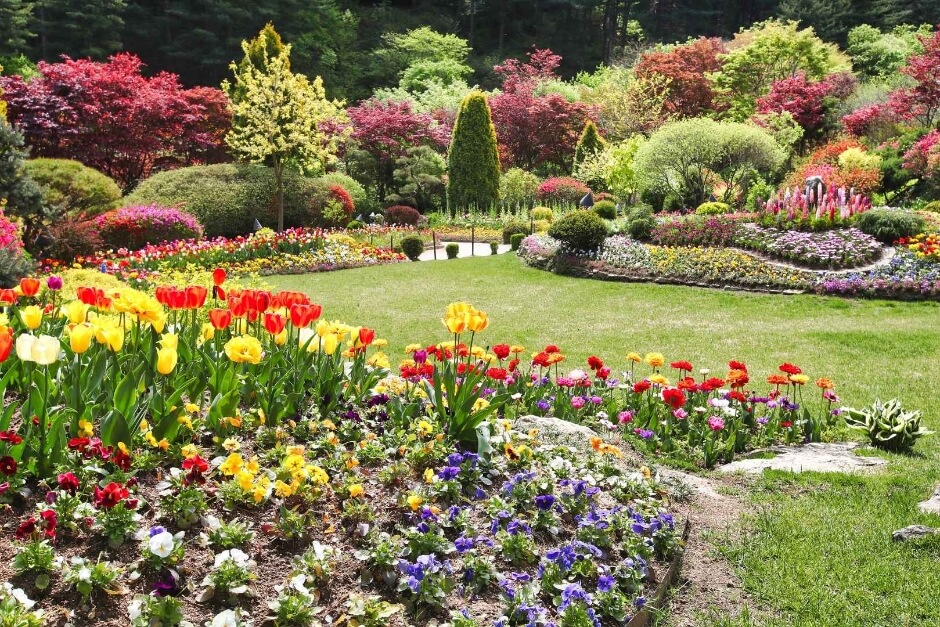 봄꽃페스타 2025: 아침고요수목원에서 만나는 봄의 향연!