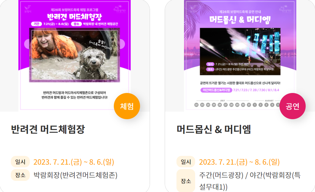보령 머드 축제