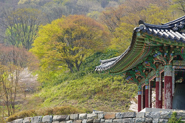 산속에 있는 사찰 사진