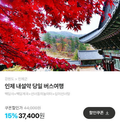 가을단풍 단풍버스 당일여행
