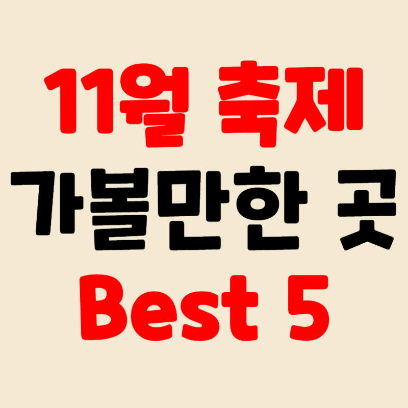 11월 축제 가볼만한 곳 베스트5