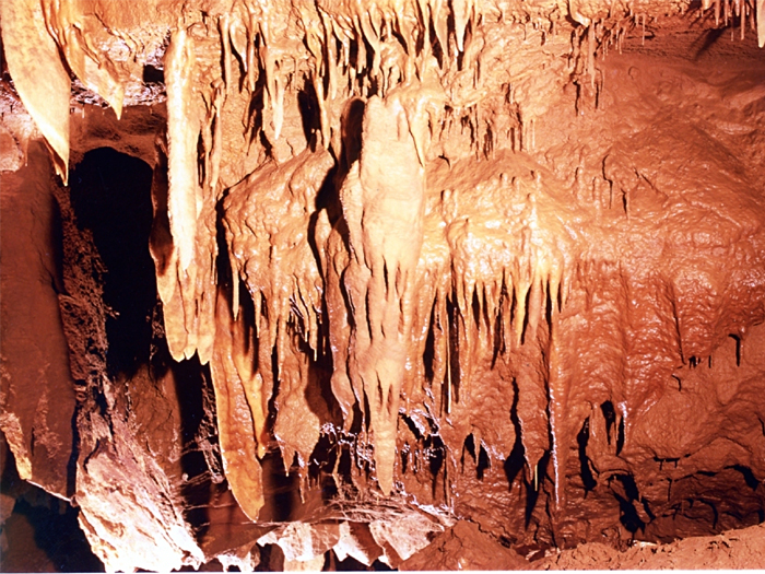 강원도 동해 관광지 요금안내(입장료, 주차비, 샤워장, 캠핑장) - 천곡황금박쥐동굴, 무릉계곡 명승지, 망상해변, 추암해변, 도째비골 스카이밸리