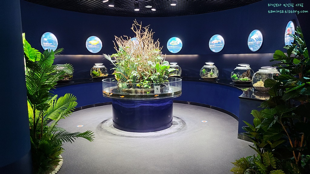 삼척-민물고기전시관