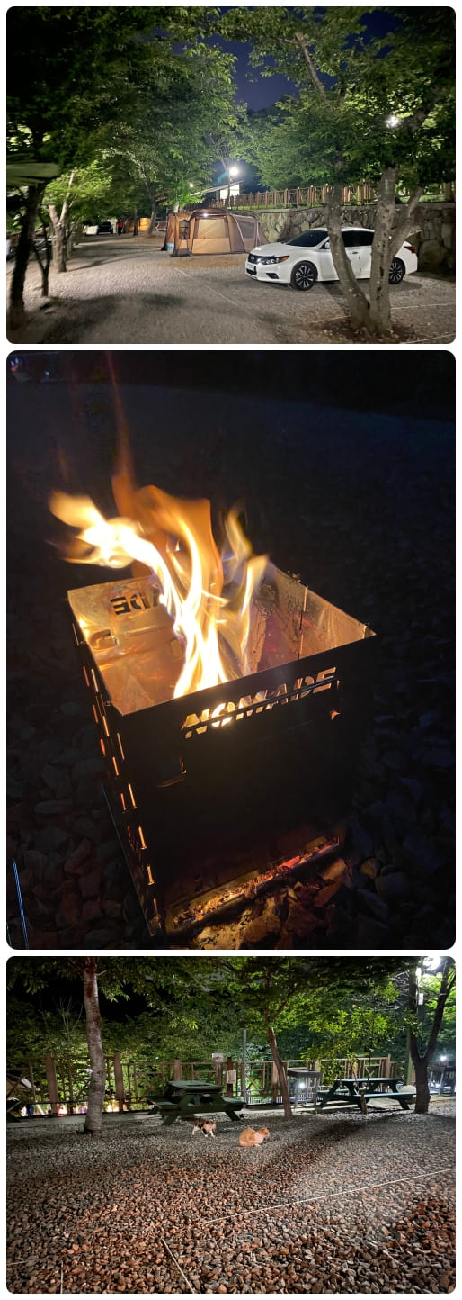 통영에이원-캠핑장