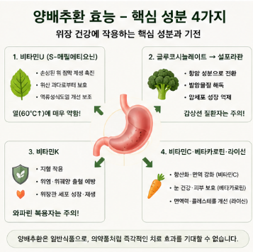 양배추환-효능-추천-유기농-효과-부작용-먹는법