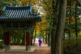 고흥군 민생지원금 30만원, 추석 전 지급 일정