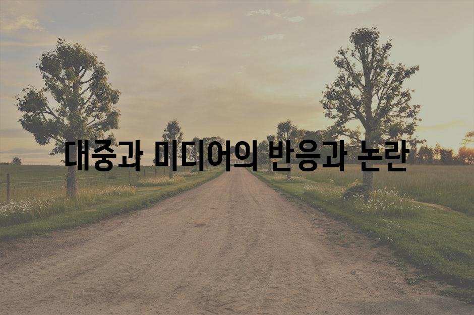 대중과 미디어의 반응과 논란