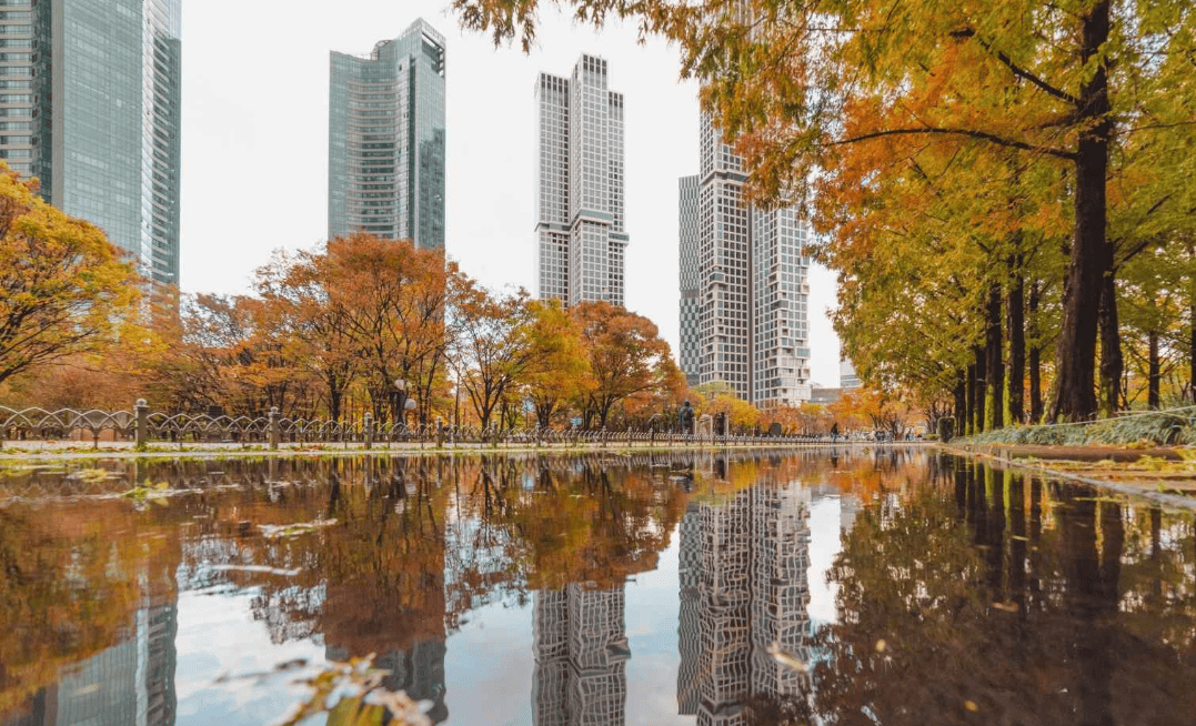 서울숲