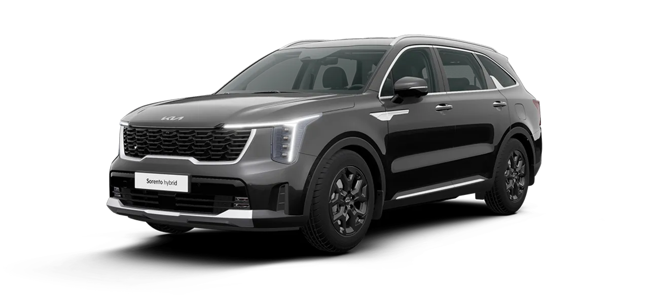 쏘렌토 vs 콜레오스 패밀리카 이미지