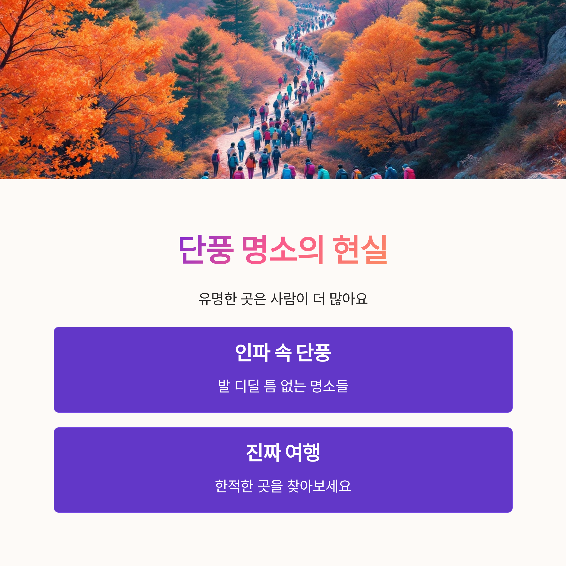 단풍 명소의 현실