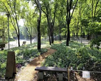 서울숲 공원 주차장8