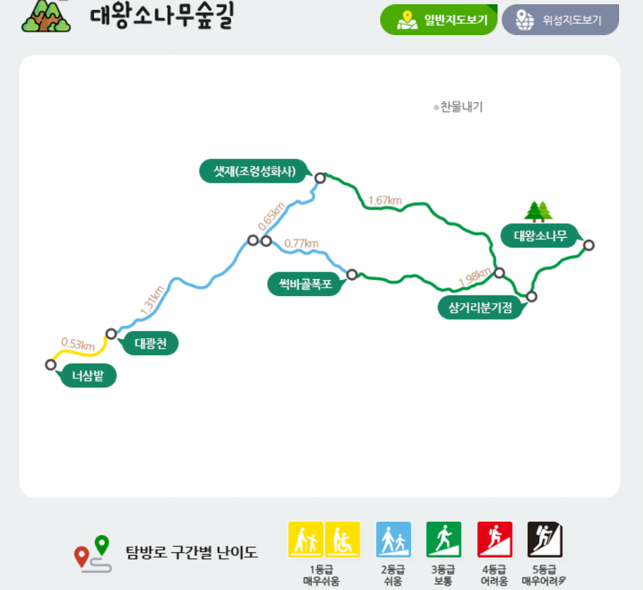 울진 금강소나무숲길