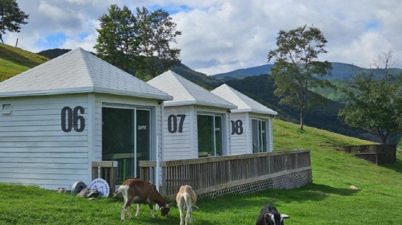 몽토랑 산양목장