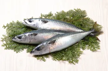 고등어 가격 및 효능&amp;#44; 영양성분과 주의점